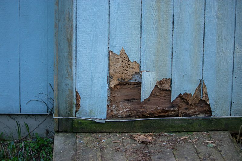 Shiplap Siding Damage