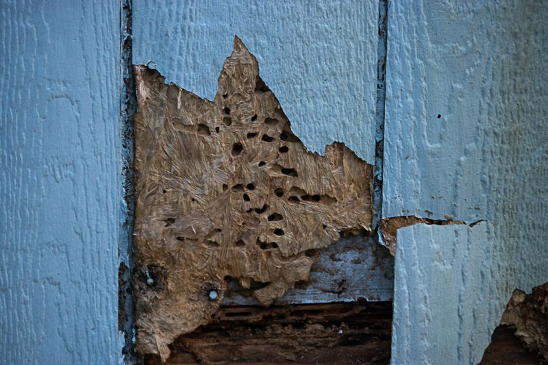 Damaged Shiplap Boards