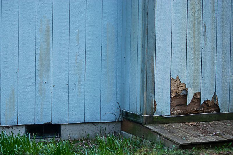 Consulting with Professionals